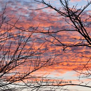 Hiver N°22