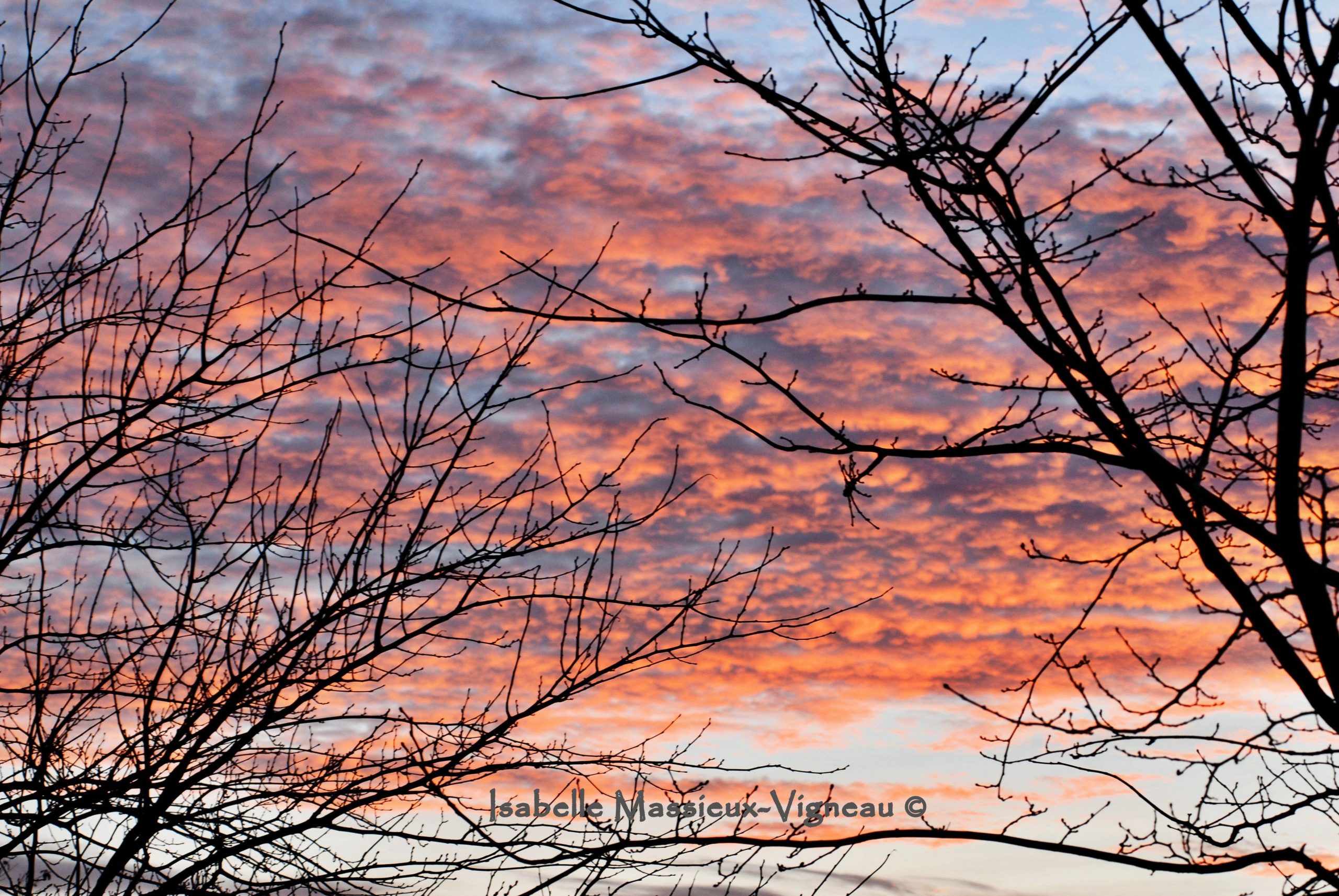 Hiver N°22