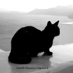 Chat Gardien Oia N°10