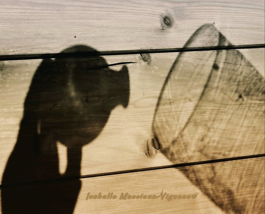 Verre Bois 2020 N°2